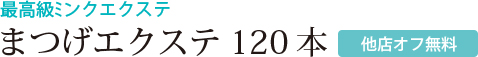 最高級ミンクエクステ まつげエクステ120本[他店オフ無料]